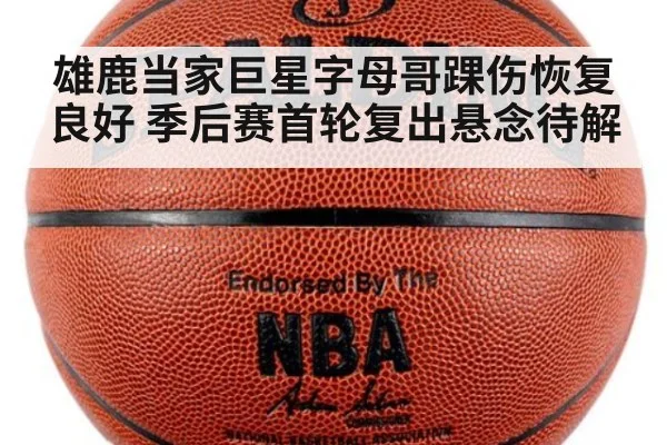 雄鹿当家巨星字母哥踝伤恢复良好 季后赛首轮复出悬念待解