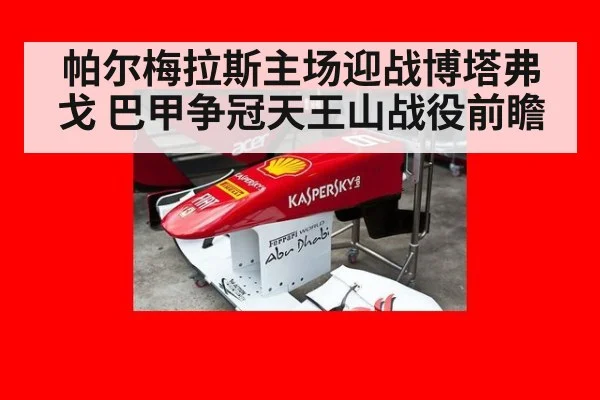 帕尔梅拉斯主场迎战博塔弗戈 巴甲争冠天王山战役前瞻